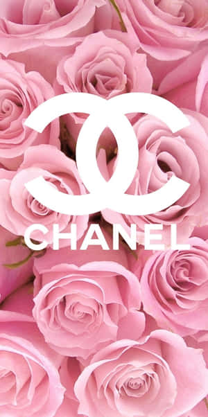 粉色玫瑰搭配白色 Chanel 標誌和文字疊加。 — 香奈兒 壁紙