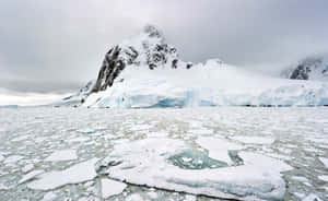 冰凍的海冰碎片漂浮在陰天天空下積雪覆蓋的山脈前。 — 冬季風景 壁紙