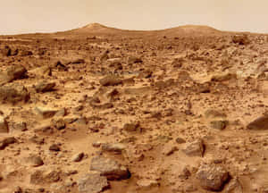 崎嶇的火星地形，散落著岩石和遠山，籠罩在朦朧的天空下。 — 火星人布魯諾 壁紙