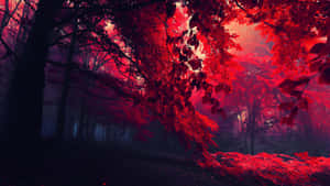 霧氣瀰漫的暮色中，在發光的紅葉下的森林小徑。 — 純紅色 壁紙