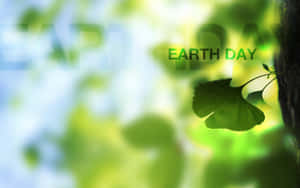 銀杏葉帶有Earth Day文字，背景為模糊綠色 — 世界地球日 壁紙