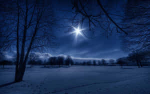 夜晚的雪地，有光禿的樹木和一顆明亮的星星在上方。 — 月光 壁紙