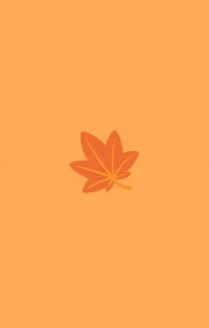 一片橙色楓葉在純橙色背景上。 — 秋季 壁紙