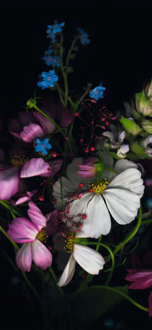 一瓶花 — iPhone 16 Pro 壁紙