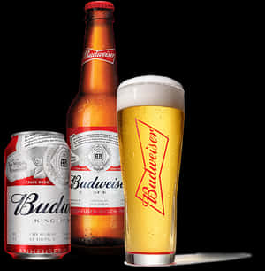 Budweiser啤酒罐和玻璃杯在黑色背景上凝結水珠