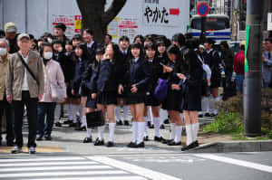 穿著校服的日本女學生在城市的行人穿越道等候，旁邊有成年人和車輛。 — 日式 壁紙