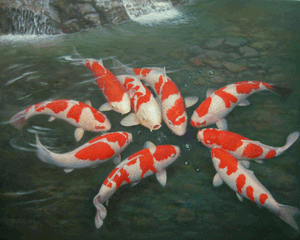 錦鯉在池塘中游動，背景是瀑布。 — 魚 GIF 壁紙