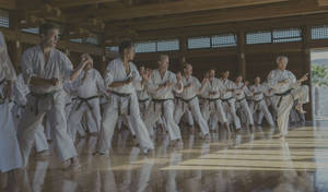 身穿白色道服的武術家在木製道場中練習同步動作。 — 運動 壁紙