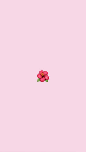 Vsco 照片 — Vsco 壁紙