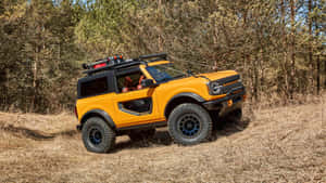 橙色福特Bronco SUV停放在乾燥的草地森林空地中。 — 福特 壁紙