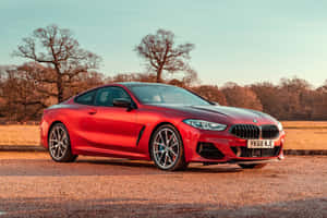 日落時分，紅色BMW 8系列雙門轎跑車停在碎石路上，旁邊是光禿禿的樹木。 — Surface Laptop 壁紙