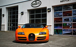 橙色Bugatti超級跑車停在一間豪華汽車經銷商外。 — Bugatti iPhone 壁紙