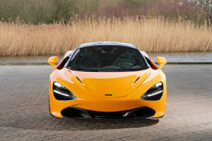 橙色McLaren跑車停在水邊，背景有蘆葦。