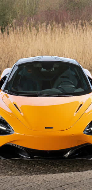 橙色McLaren跑車停放在石徑上，靠近高草。 — 黃色 壁紙