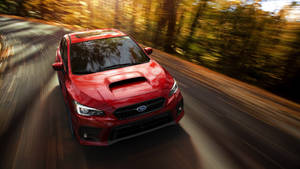 紅色Subaru WRX在日落時分穿越秋日森林。 — 昴 壁紙