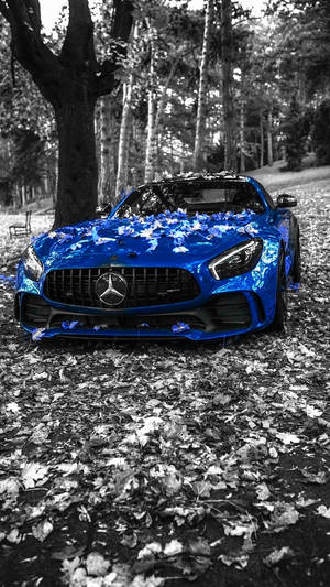 森林中被秋葉覆蓋的藍色 Mercedes 跑車。 — Mercedes-Benz 壁紙