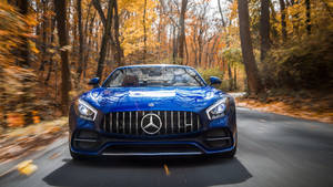 一輛藍色 Mercedes-AMG GT 在落葉紛飛的秋日森林中疾馳。 — Mercedes Benz C300 壁紙