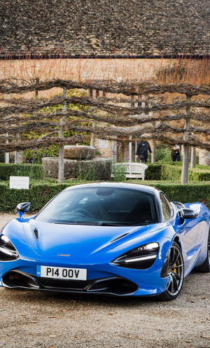 藍色McLaren 720S停泊在正式花園中，有石牆和休眠的葡萄藤。 — 花園 壁紙