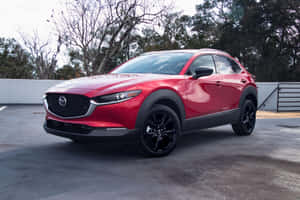 紅色Mazda CX-30 SUV停在戶外混凝土表面，靠近樹木。 — 馬自達 壁紙