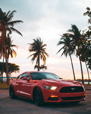 日落時分，紅色Mustang跑車停在棕櫚樹下。 — 運動 壁紙