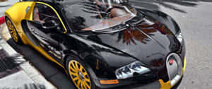 黑色和黃色Bugatti Veyron在陽光明媚的街道上反射棕櫚樹。 — 高對比 壁紙