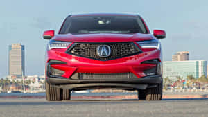紅色Acura SUV停放在濱海道路上，背後是城市天際線和棕櫚樹。 — Acura 壁紙