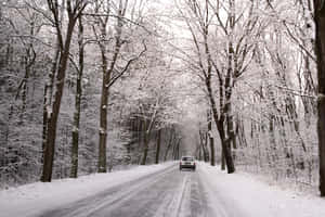 汽車在冬季森林中的雪路上行駛 — 冬季風景 壁紙