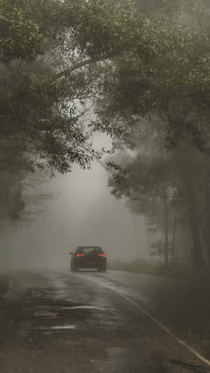 一輛汽車在潮濕的道路上行駛，穿過霧氣瀰漫的森林。 — 黑暗自然 壁紙