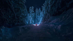 紅色汽車在雪地森林中夜間行駛，星空下 — 最酷的桌面 壁紙