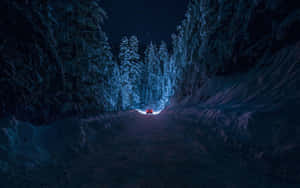 星空下雪林路上的紅色汽車 — 魔法森林 壁紙