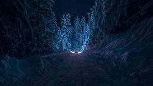 紅色汽車在星空下夜間穿越雪覆蓋的森林 — 藍色美學電腦 壁紙