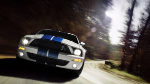 白色Shelby Mustang帶藍色條紋在黃昏時分穿過森林。 — 野馬GIF 壁紙