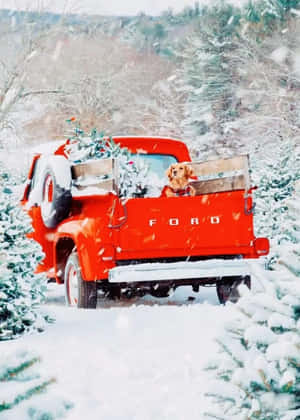 雪地森林中，復古紅色福特卡車載著狗和聖誕樹。 — 可愛聖誕節 壁紙