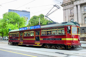 復古紅金色的墨爾本電車在種有樹木和建築物的城市街道上行駛。