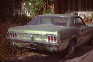 一輛綠色復古Mustang停放在住宅街道上，有陽光和樹葉。 — 老福特卡車 壁紙