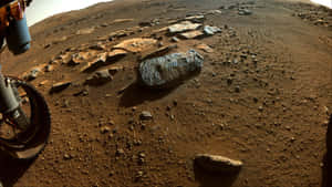 探測車車輪在紅色火星土壤上，散落岩石 — 火星人布魯諾 壁紙