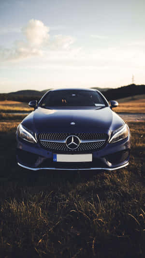 深藍色賓士轎車停在金色草地上，日落時分。 — Mercedes Benz C300 壁紙