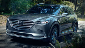 灰色Mazda CX-9 SUV停泊在陰涼的森林道路上，附近有蕨類植物。 — 馬自達 壁紙