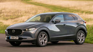 灰色Mazda CX-3 SUV停在鄉村道路上，背景有草地。 — 馬自達 壁紙
