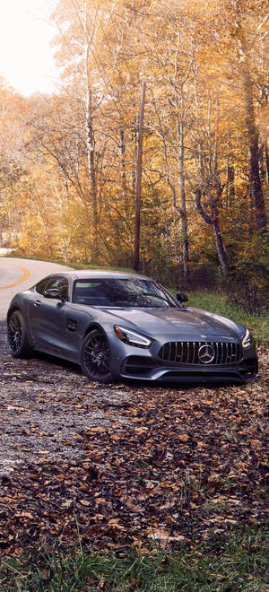 灰色Mercedes-AMG GT停在覆蓋著秋天落葉的碎石路上。 — Galaxy S25 壁紙