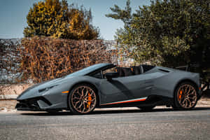 灰色藍寶堅尼 Spyder 帶橙色點綴，停在戶外樹旁。 — 跑車 壁紙