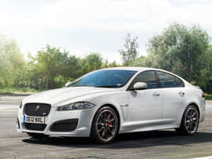 白色Jaguar XF Sportbrake停放在鋪砌道路上，後面有綠樹。 — 美洲豹汽車 壁紙