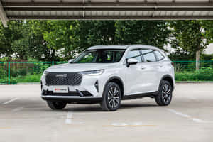 白色哈弗SUV停放在戶外停車場，後面有樹木。 — 凱迪拉克 壁紙