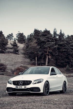 白色賓士轎車停在松樹林中的空地。 — Mercedes Benz C300 壁紙