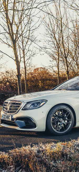 白色豪華轎車停放在結霜的路邊，金色日落。 — Mercedes Benz C300 壁紙