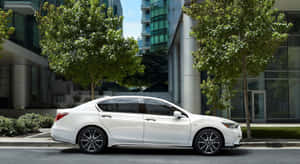 白色轎車停泊在城市街道上，有樹木和玻璃建築。 — Acura 壁紙