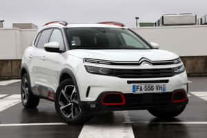 白色雪鐵龍SUV，紅色飾邊，停在灰色天空下的潮濕路面上。 — 雪鐵龍 壁紙