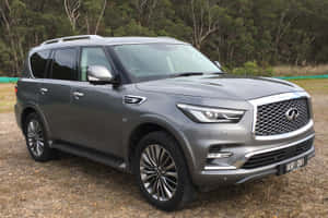 銀色 Infiniti QX80 SUV 停放在樹旁的草地上。 — Surface Pro 壁紙