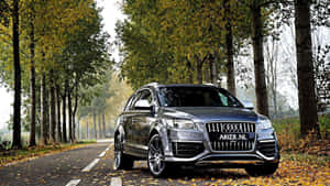 銀色Audi SUV停泊在高大樹木下、鋪滿落葉的秋季道路上。 — 奧迪 GIF 壁紙