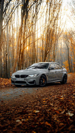 金色夕陽下，銀色BMW M4停泊在鋪滿秋葉的森林道路上。 — Mercedes Benz C300 壁紙